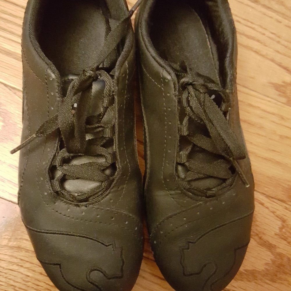 Black puma